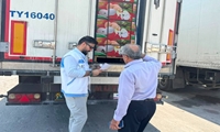 صادرات ۳۳۳ تن تخم‌مرغ از بندر دَیّر به مقصد قطر با نظارت دامپزشکی